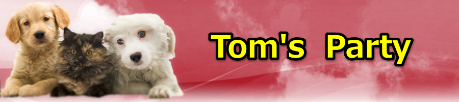 Tom�fs�@Party